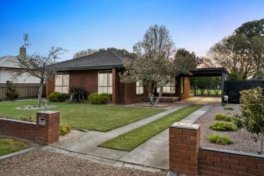House For Sale - VIC - Euroa - 3666 - Immaculate Residence on Two Titles With Outstanding Shedding  (Image 2)