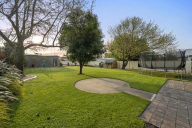 House Sold - VIC - Euroa - 3666 - Immaculate Residence on Two Titles With Outstanding Shedding  (Image 2)