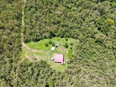 Acreage/Semi-rural Leased - QLD - Cooktown - 4895 - AVAILABLE SOON
2 Bedroom Home on 70 Acres  (Image 2)