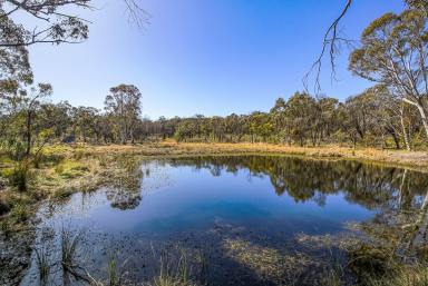 Lifestyle Sold - NSW - Bungonia - 2580 - 25 ACRE RETREAT, NATURE LOVERS DELIGHT, 3 BR HOME ON SEALED ROAD, 3 DAMS, SOLAR  POWER, NBN, ROAD FRONTAGE< PEACE & QUIET, HANDYMAN'S DELIGHT!  (Image 2)