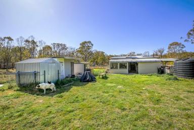 Lifestyle Sold - NSW - Bungonia - 2580 - 25 ACRE RETREAT, NATURE LOVERS DELIGHT, 3 BR HOME ON SEALED ROAD, 3 DAMS, SOLAR  POWER, NBN, ROAD FRONTAGE< PEACE & QUIET, HANDYMAN'S DELIGHT!  (Image 2)