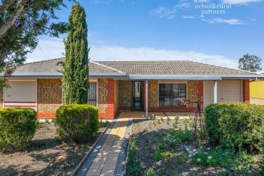 House Sold - SA - Mannum - 5238 - HOME ON HALF ACRE WITH SHEDDING FOR 10 CARS  (Image 2)