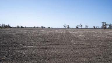 Cropping For Sale - NSW - Rowena - 2387 - Self Mulching Black Soil  (Image 2)
