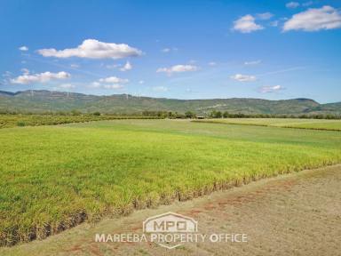 Cropping For Sale - QLD - Walkamin - 4872 - 80.43 HA IN WALKAMIN - PERFECT GROWING CLIMATE  (Image 2)