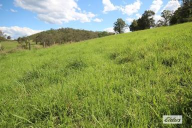 Other (Rural) Sold - NSW - Wherrol Flat - 2429 - LIVE YOUR BEST LIFE ON BIMBADEEN  (Image 2)