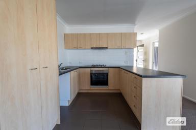 House Sold - QLD - Laidley - 4341 - Opportunity knocks!  (Image 2)