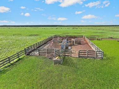 Dairy Sold - VIC - Irrewillipe - 3249 - TOP CLASS COLAC DISTRICT COUNTRY  (Image 2)