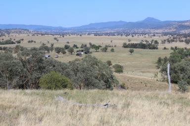 Mixed Farming Sold - NSW - Narrabri - 2390 - Upper Horton Grazing  (Image 2)