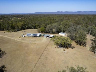 Lifestyle For Sale - NSW - Deep Creek - 2440 - Rural Lifestyle Awaits on 80Ha (200Ac) with Large Hardi-Plank Home  (Image 2)