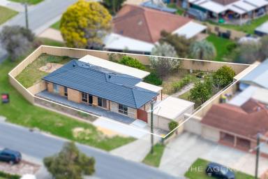 House Sold - WA - Seville Grove - 6112 - EXTENDED, RENOVATED - BEAUTIFULLY FINISHED!  (Image 2)