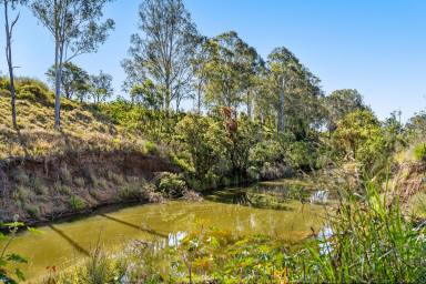 Horticulture Sold - QLD - Patrick Estate - 4311 - Abundant Water on Somerset Acreage  (Image 2)