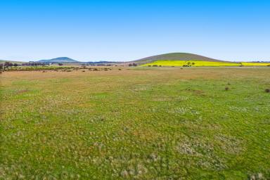 Livestock For Sale - VIC - Smeaton - 3364 - High Quality Grazing & Conservation Opportunity  (Image 2)