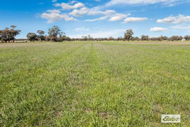 Cropping Sold - VIC - Dingee - 3571 - Productive Cropping, Grazing and Fodder Production – 73 Ha / 180 Ac  (Image 2)