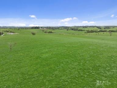 Dairy For Sale - VIC - Tarwin - 3956 - EXCEPTIONAL TARWIN DAIRY  (Image 2)