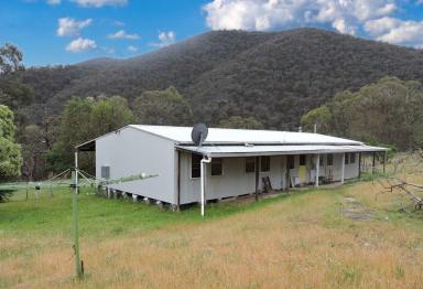 Lifestyle Sold - VIC - Tubbut - 3888 - Country Retreat  (Image 2)