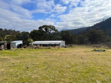 Lifestyle For Sale - VIC - Tubbut - 3888 - Country Retreat  (Image 2)