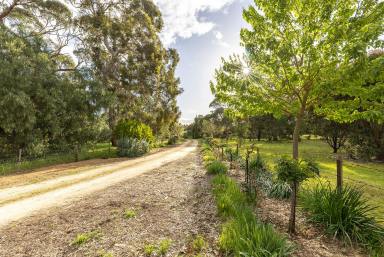 House For Sale - SA - Naracoorte - 5271 - NEW PRICE - An idyllic lifestyle with the perfect blend of rural serenity and urban convenience  (Image 2)