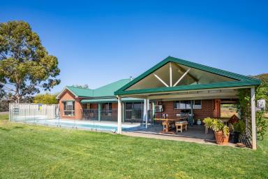 Lifestyle Sold - NSW - Cowra - 2794 - 316ACRES*, MODERN FAMILY HOME, EXCELLENT INFRASTRUCTURE!  (Image 2)