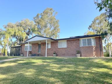 House Sold - NSW - Moree - 2400 - ESCAPE EVERYDAY!  (Image 2)