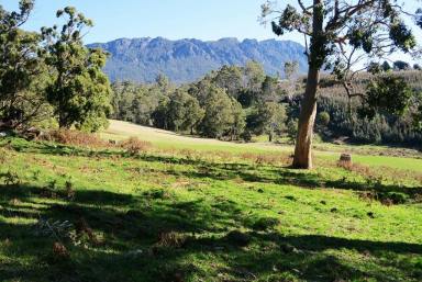 Mixed Farming For Sale - TAS - Paradise - 7306 - Quality acreage for lifestyle and mixed farming  (Image 2)