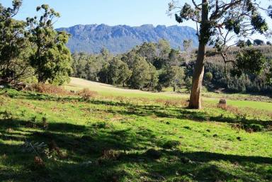 Mixed Farming Sold - TAS - Paradise - 7306 - Quality acreage for lifestyle and mixed farming - SOLD  (Image 2)