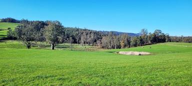 Mixed Farming Sold - TAS - Paradise - 7306 - Quality acreage for lifestyle and mixed farming - SOLD  (Image 2)