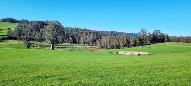 Mixed Farming For Sale - TAS - Paradise - 7306 - Quality acreage for lifestyle and mixed farming  (Image 2)