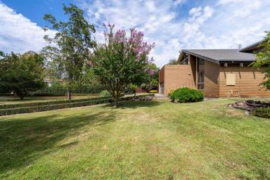 House Sold - VIC - Euroa - 3666 - Substantial Family Home, Enormous Elevated Block, Blue Chip Location  (Image 2)