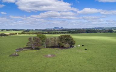 Residential Block Sold - VIC - Skibo - 3260 - Small Acreage Outpaddock For Sale Via Expressions Of Interest  (Image 2)