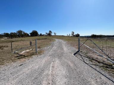 Lifestyle Sold - NSW - Bannaby - 2580 - 100 ACRES WITH A COMPLETELY SET UP, PERFECT WEEKENDER, IDEAL GRAZING COUNTRY + WITH ALL THE CREATURE COMFORTS,  A TRULY  AMAZING PROPERTY ALL ROUND  (Image 2)