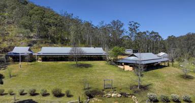 Lifestyle Sold - NSW - Paynes Crossing - 2325 - 'Jaspers' - Horse Friendly Acreage with an Incredible Homestead  (Image 2)
