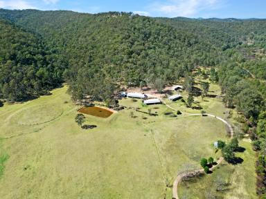 Lifestyle Sold - NSW - Paynes Crossing - 2325 - 'Jaspers' - Horse Friendly Acreage with an Incredible Homestead  (Image 2)