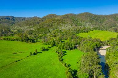 Other (Rural) For Sale - NSW - Pappinbarra - 2446 - Get Off the Grid - 40 Acres of Rich Farmland on the Pappinbarra River  (Image 2)