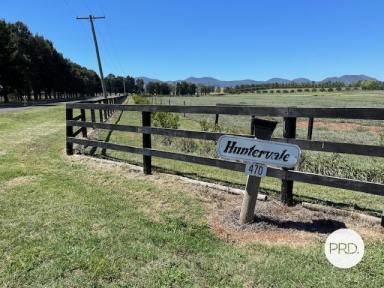 Other (Rural) Sold - NSW - Denman - 2328 - PRIME POSITION!!  (Image 2)