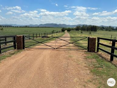 Other (Rural) Sold - NSW - Denman - 2328 - PRIME POSITION!!  (Image 2)