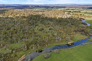 Mixed Farming For Sale - VIC - Homerton - 3304 - DRAMATIC PRICE REDUCTION !  (Image 2)