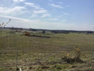 Lifestyle For Sale - VIC - Scarsdale - 3351 - 8 Ha (20 acres) Rural Homesite; New Fences and Crossover; Undulating Land with Views  (Image 2)