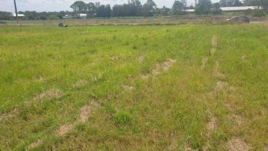 Commercial Farming For Lease - NSW - Rossmore - 2557 - Price Reduced, Corner Fully fenced 16, 000m2 ( 4 Acres)Flat Land For Lease  (Image 2)