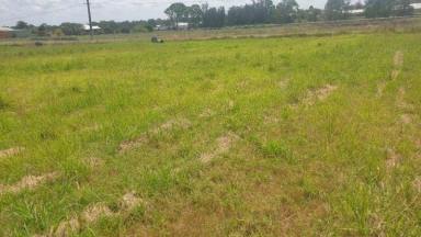 Commercial Farming For Lease - NSW - Rossmore - 2557 - Price Reduced, Corner Fully fenced 16, 000m2 ( 4 Acres)Flat Land For Lease  (Image 2)