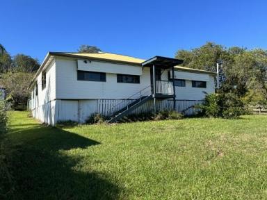 Mixed Farming For Sale - NSW - Kyogle - 2474 - GREEN PIGEON FARM  (Image 2)