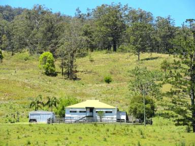 Mixed Farming For Sale - NSW - Kyogle - 2474 - GREEN PIGEON FARM  (Image 2)