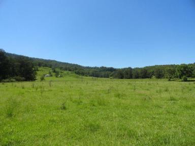 Mixed Farming For Sale - NSW - Kyogle - 2474 - GREEN PIGEON FARM  (Image 2)