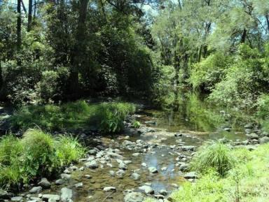 Mixed Farming For Sale - NSW - Kyogle - 2474 - GREEN PIGEON FARM  (Image 2)