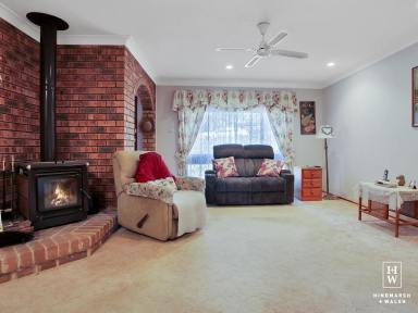 House Sold - NSW - Moss Vale - 2577 - Neat As A Pin  (Image 2)