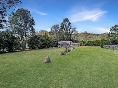Residential Block Sold - NSW - Kyogle - 2474 - GET IN QUICK THIS WILL SELL FAST  (Image 2)