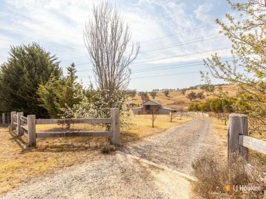 House Sold - NSW - Bega - 2550 - WHAT A PROPERTY! WHAT A LOCATION!  (Image 2)