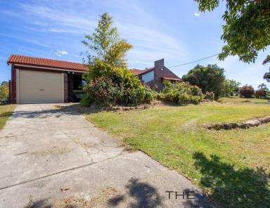 House Sold - WA - Canning Vale - 6155 - COUNTRY Living in the CITY!!  (Image 2)