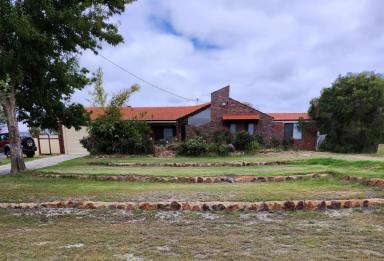 House Sold - WA - Canning Vale - 6155 - COUNTRY Living in the CITY!!  (Image 2)
