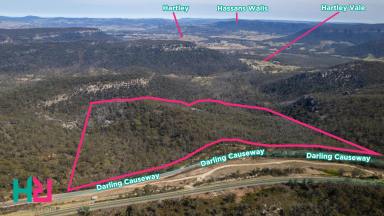 Residential Block For Sale - NSW - Bell - 2786 - PRISTINE BUSHLAND ACREAGE  (Image 2)