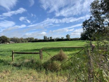 Mixed Farming For Sale - VIC - Rochester - 3561 - "HUNTERS" 
A/C NW & EL CHRISTIE  (Image 2)